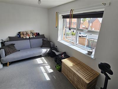Picture 21